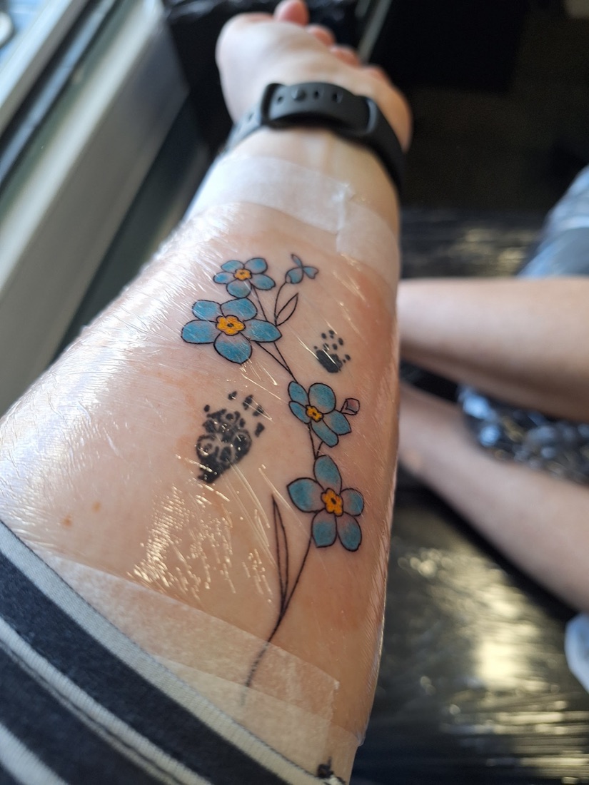 A finished colour tattoo of blue forget-me-not flowers on a forearm, fresh from the studio